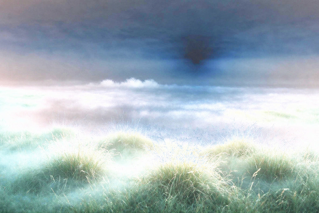 Misty grassland cold morning climate mood